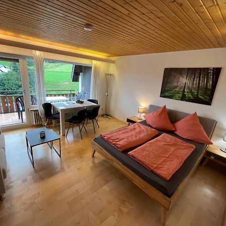 Haus Am Sonnenberg, Todtnauberg, Ferienwohnung 204, Direkt Am Skilift-Skipiste, Naehe Feldberg Екстер'єр фото
