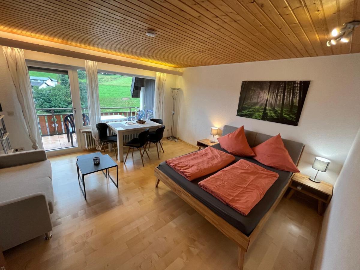Haus Am Sonnenberg, Todtnauberg, Ferienwohnung 204, Direkt Am Skilift-Skipiste, Naehe Feldberg Екстер'єр фото
