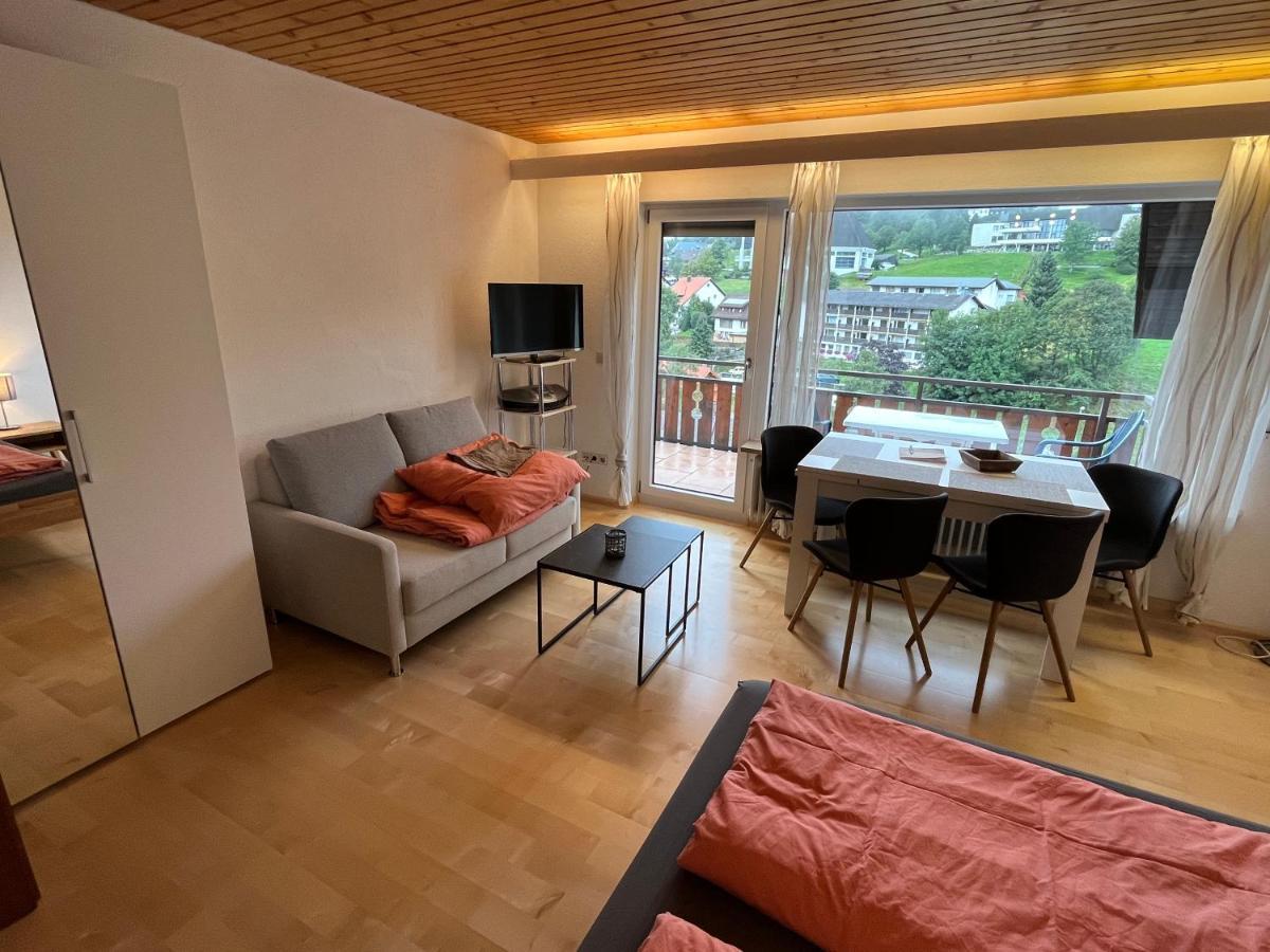Haus Am Sonnenberg, Todtnauberg, Ferienwohnung 204, Direkt Am Skilift-Skipiste, Naehe Feldberg Екстер'єр фото