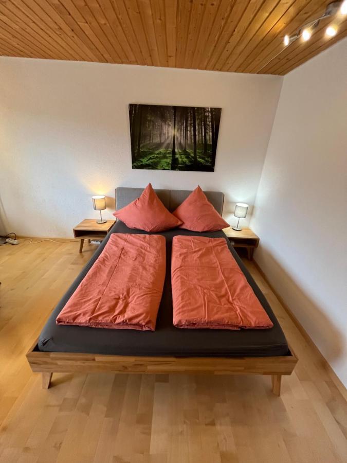 Haus Am Sonnenberg, Todtnauberg, Ferienwohnung 204, Direkt Am Skilift-Skipiste, Naehe Feldberg Екстер'єр фото